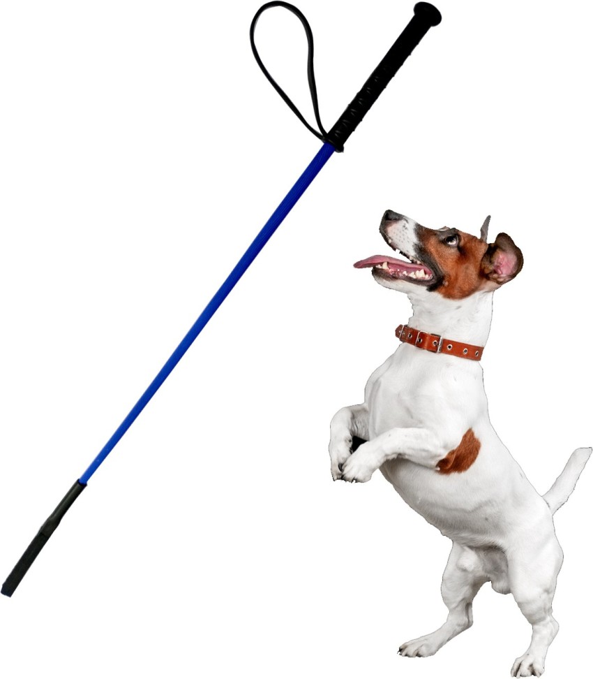 Flipkart 2025 pet accessories