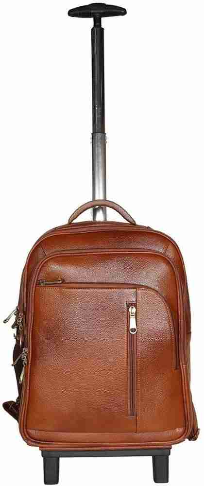 Backpack trolley cabin store