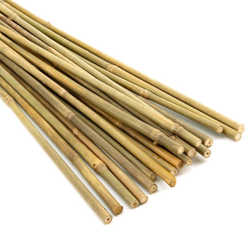 star quick links 3 feet, 1.5 cm Thickness Big Bamboo Stick for All Kind of  Plant Support 10 Pcs Plant Straightener Price in India - Buy star quick  links 3 feet, 1.5
