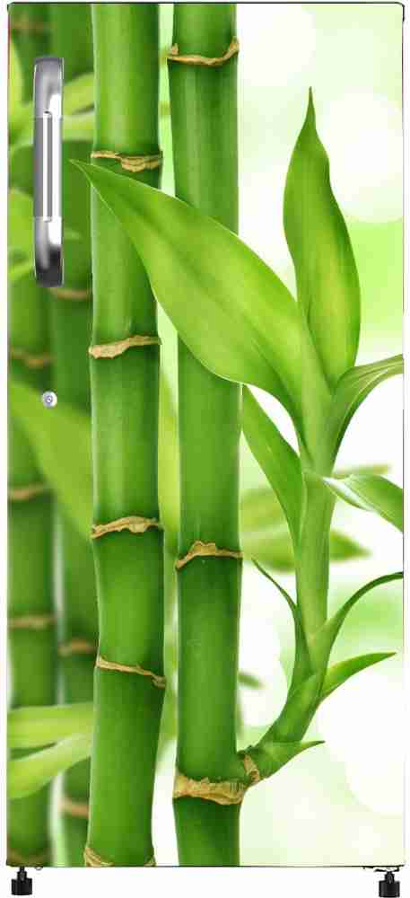 PRINTZONEWEB 124.46 cm Green Bamboo Fridge Sticker for fridge