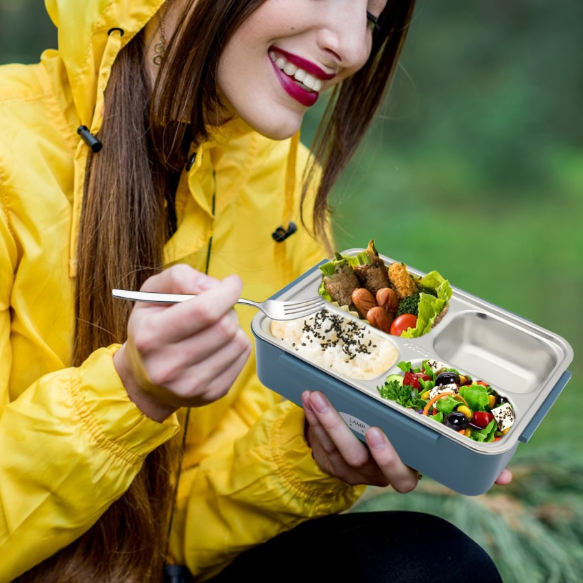 HASTHIP Electric Lunch Box Food Heater for Car and Home,  Portable Food Warmer 1.5L 1 Containers Lunch Box 