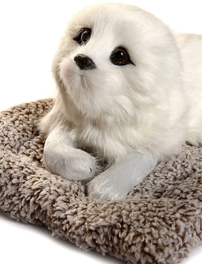 Dog accessories flipkart deals