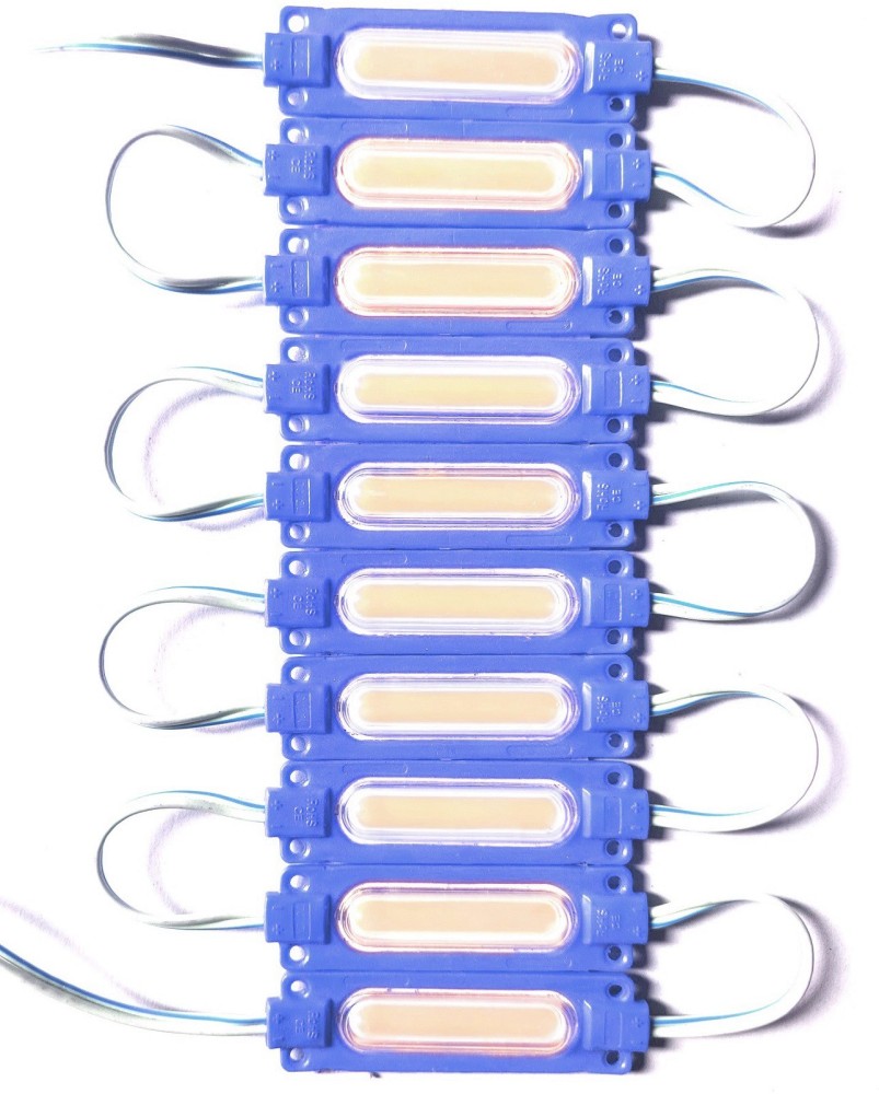 Wizzo 10 Pieces (BLUE) 12 Volt 2 Watt DC Capsule Shape LED Module Light  Strip Light Electronic Hobby Kit Price in India - Buy Wizzo 10 Pieces (BLUE)  12 Volt 2 Watt