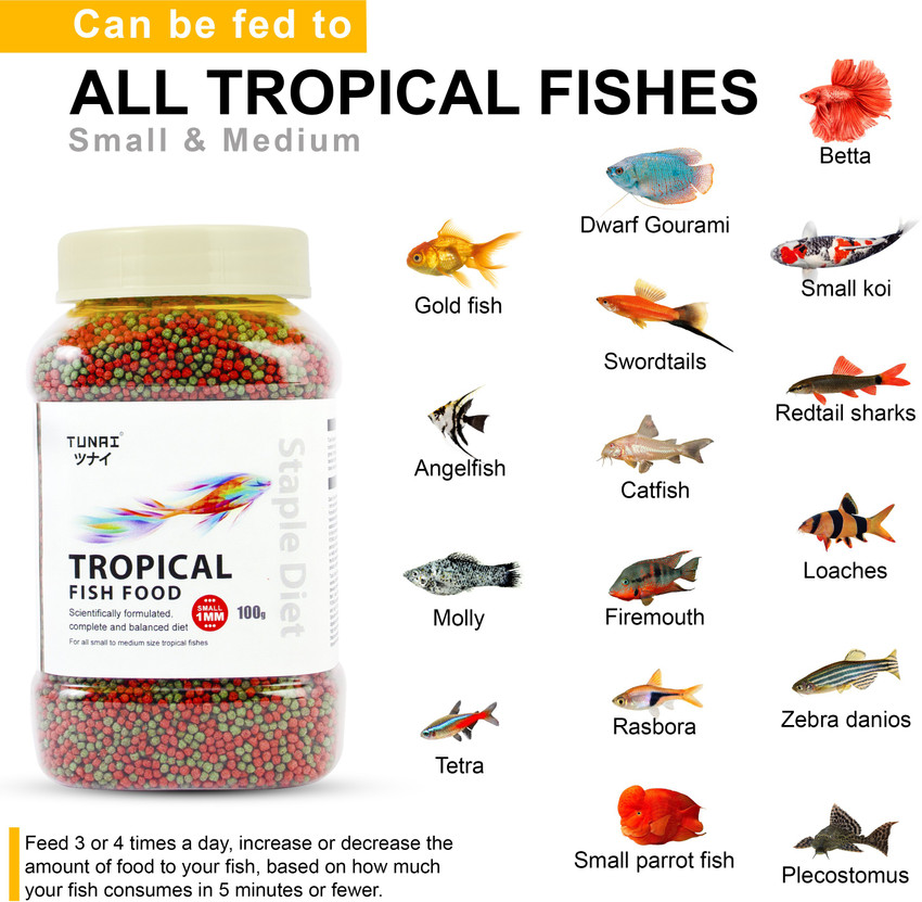 All tropical fish online