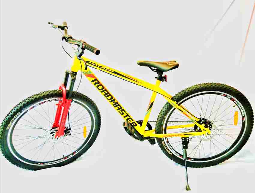 29 inch roadmaster mountain bike