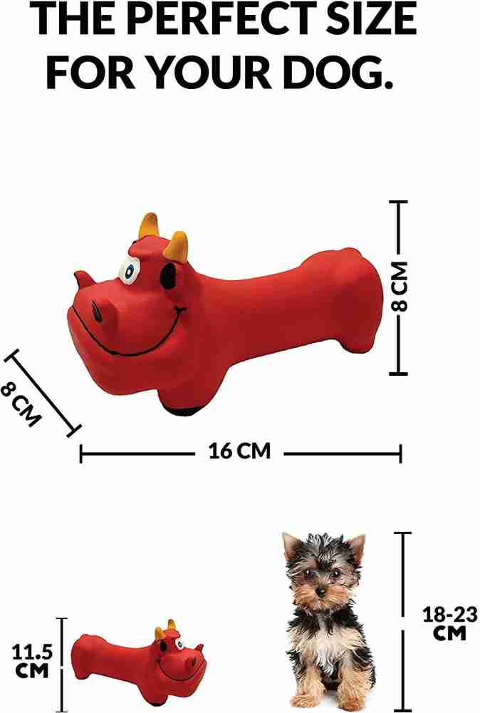 Latex dogs new arrivals