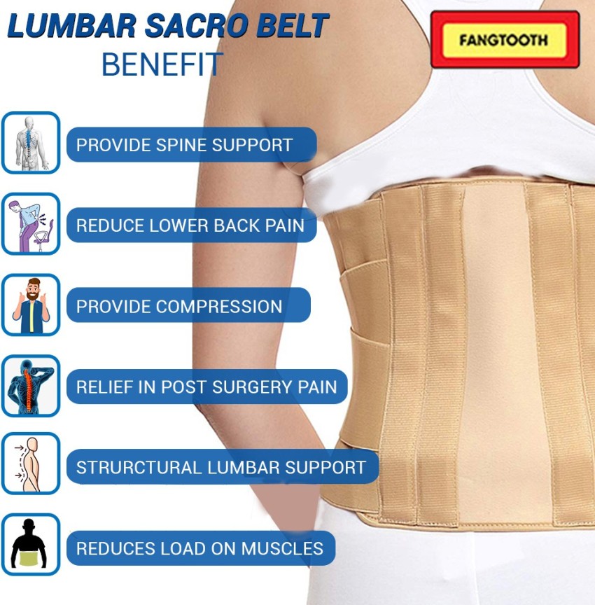 Fangtooth Lumbo Sacral (L.S Belt) Corset- Orthopedic Back Pain Belt Back /  Lumbar Support - Buy Fangtooth Lumbo Sacral (L.S Belt) Corset- Orthopedic  Back Pain Belt Back / Lumbar Support Online at Best Prices in India -  Sports & Fitness