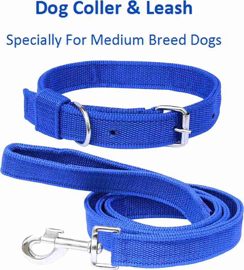 Dog belt shop in flipkart