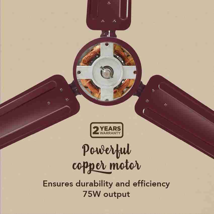 Orl Ceiling Fan Power Rating Shelly Lighting