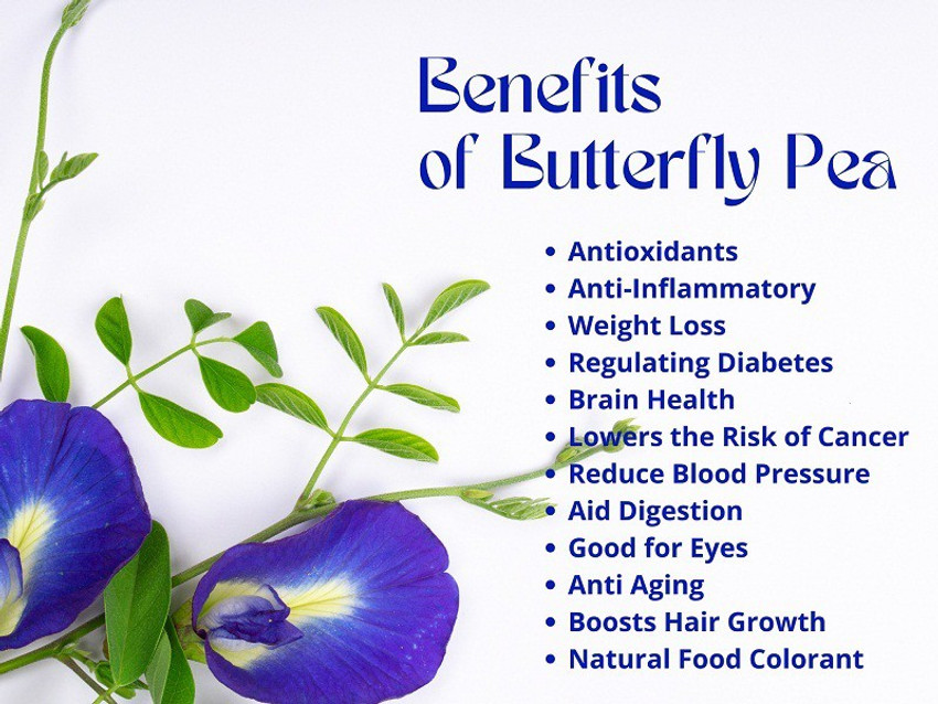 amma green garden Aparajita/ Butterfly Pea Plant Price in India - Buy amma  green garden Aparajita/ Butterfly Pea Plant online at Flipkart.com