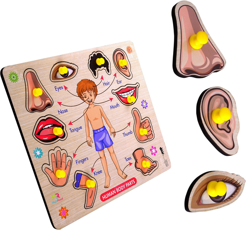 Educational toys for 5 years store
