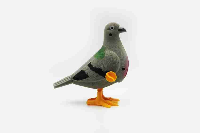 Pigeon birds online shopping 2025