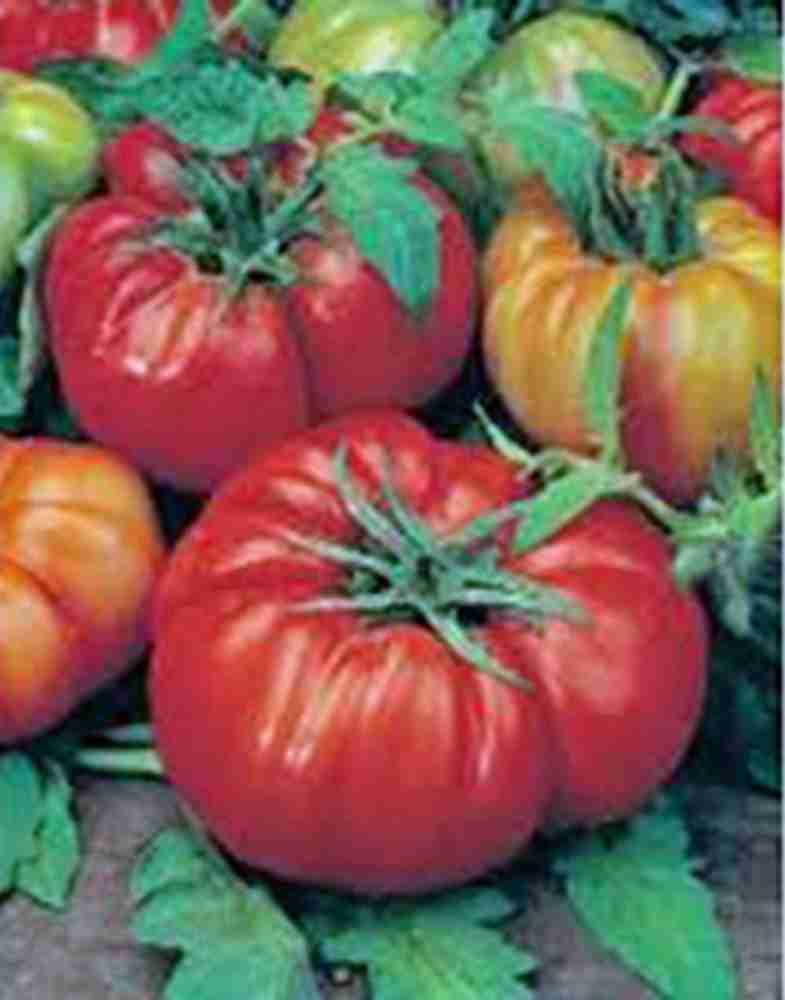 Lynn's Beefsteak Mix Heirloom Tomato Seeds - Vegetable Garden Seeds