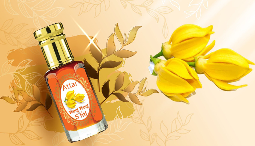 Ylang perfume discount
