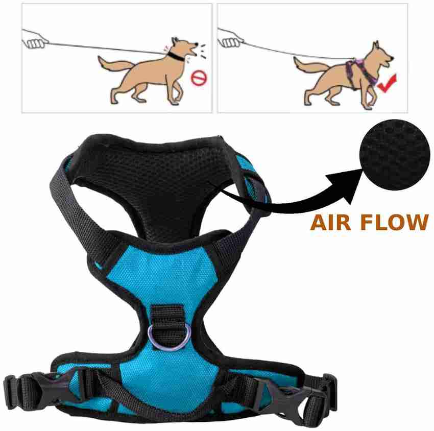 Dog belt new arrivals online flipkart