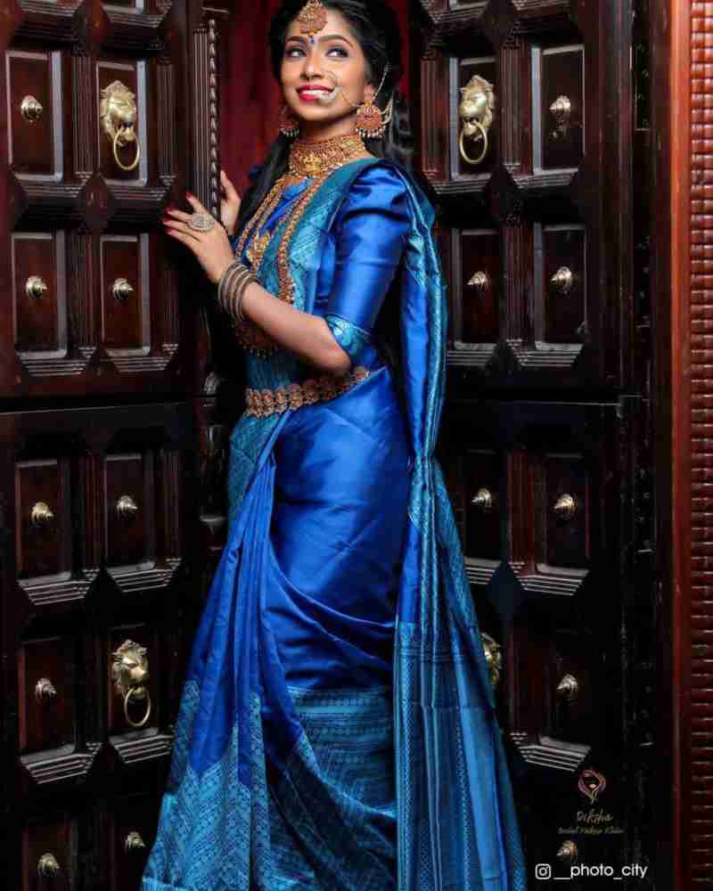 Free pallu saree style sale