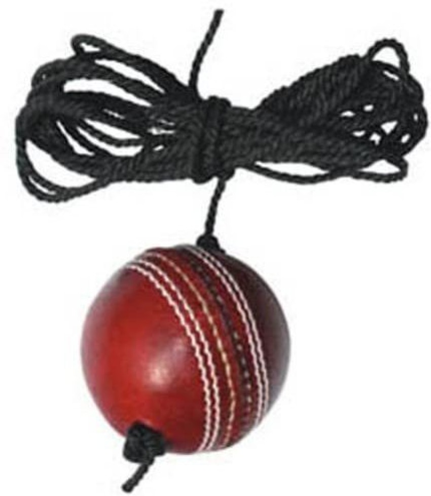 REINDEER Leather Hanging Ball Heavy Practice-Ball for Senior Players (150Gm-170Gm Each) Cricket Training Ball