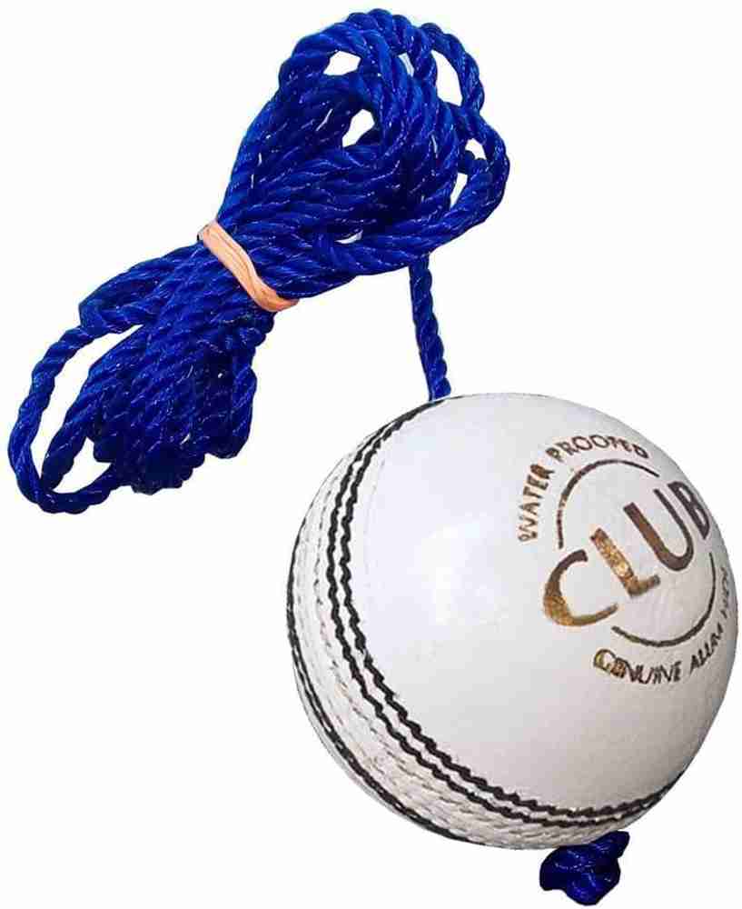 REINDEER Leather Hanging Ball Heavy Practice Ball for Senior