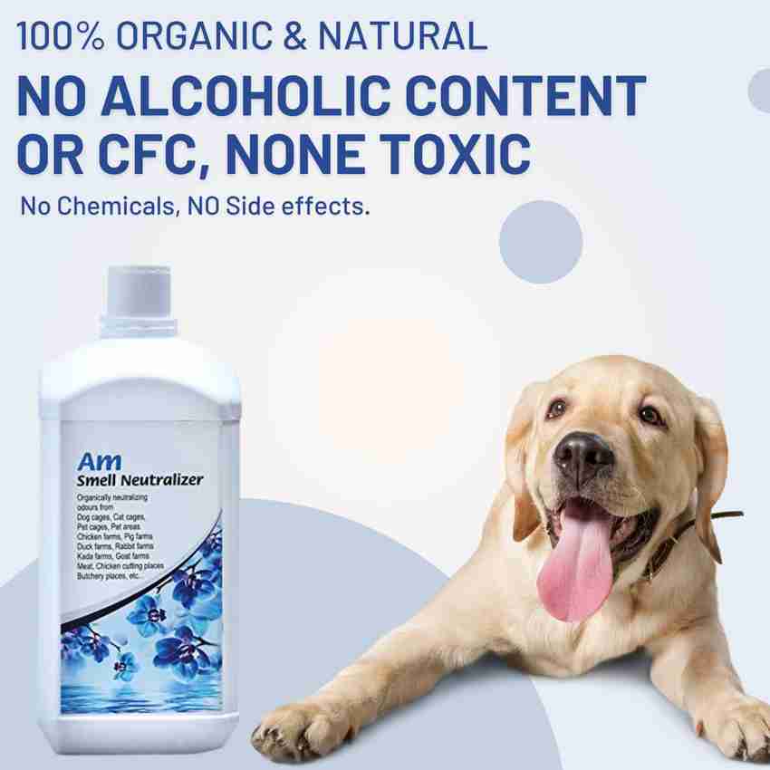Dog smell neutralizer 2025