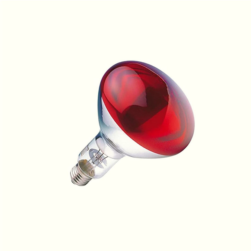 Infrared bulbs for chicks on sale