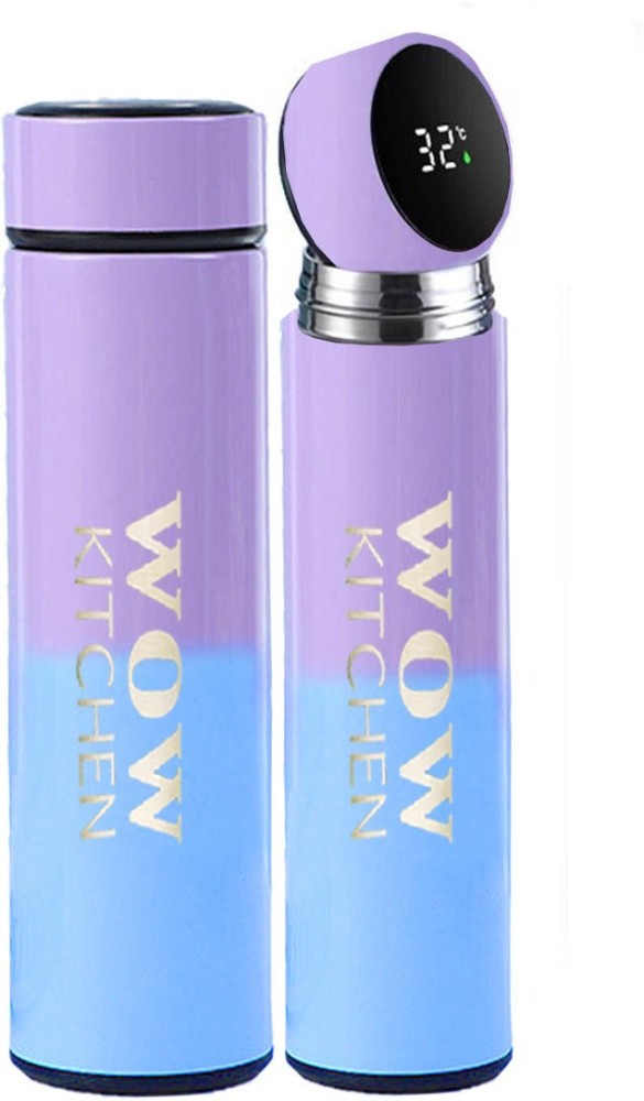 Insulated Vacuum Bottle with Temperature Display 420ml (Purple)