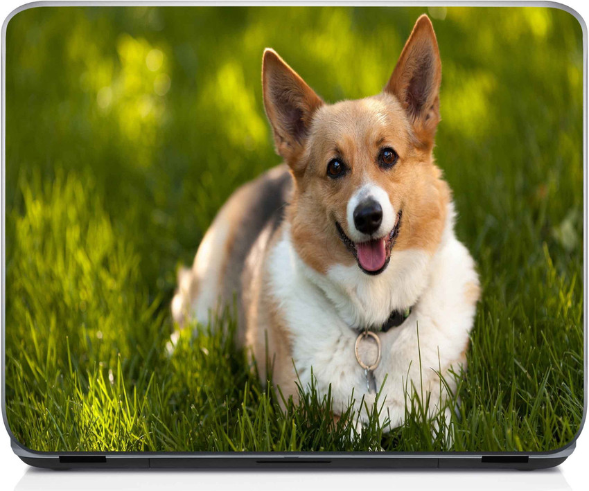 Shopsaver Fantastic Corgi Vinyl Laptop Decal 15.6 Price in India