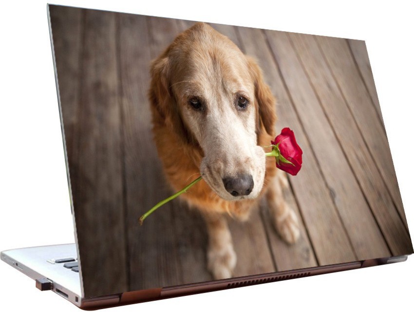 Junkyard 12 inch - Dog - Rose - HD Quality - Dell-Lenovo-Acer-HP Vinyl  Laptop Decal 12 Price in India - Buy Junkyard 12 inch - Dog - Rose - HD  Quality 
