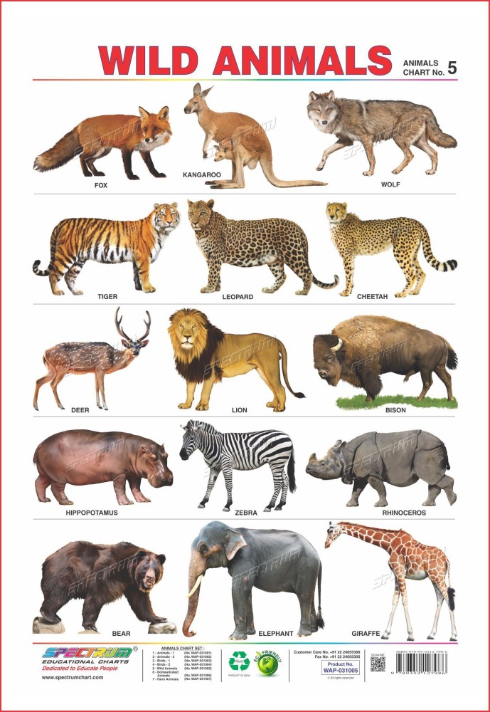 Wild Animals Name Teaching Chart