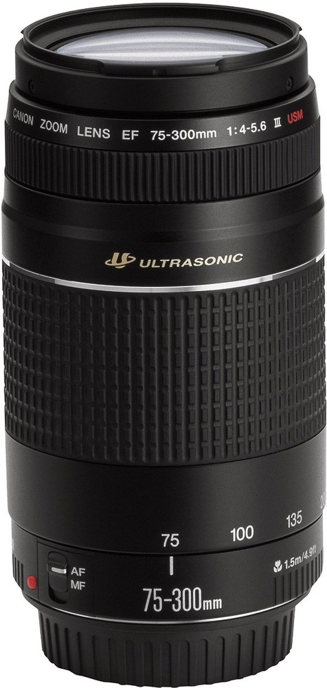 canon image stabilizer ultrasonic 75 300mm