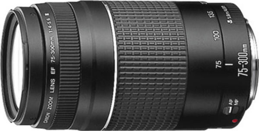 Canon EF50☆Canon EF28-80☆Canon EF75-300 Canon EF50/Canon EF28-80/Canon EF75-300