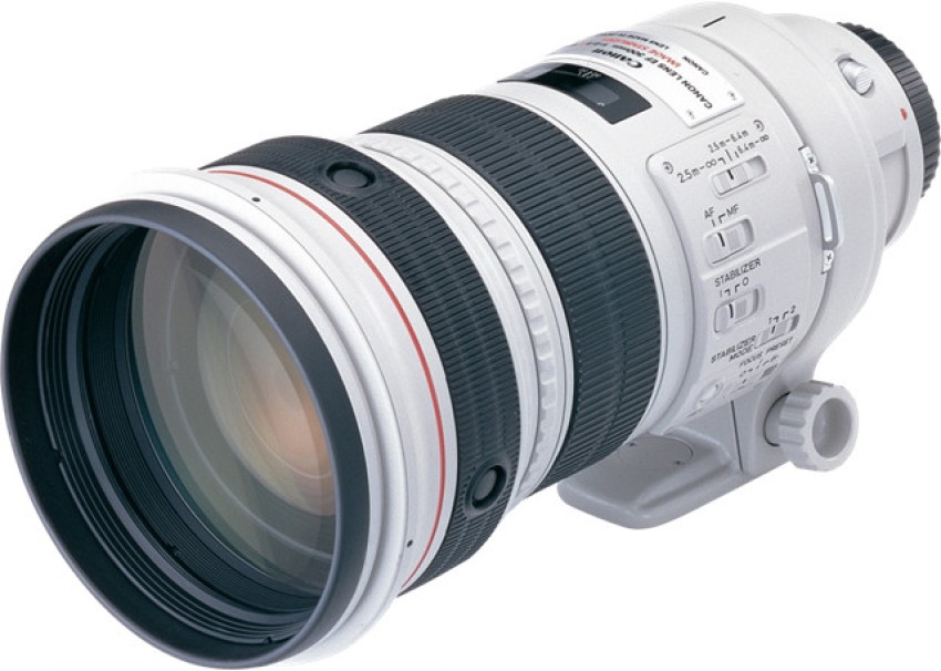 Canon EF 300 mm f/2.8L IS USM Telephoto Zoom Lens - Canon 