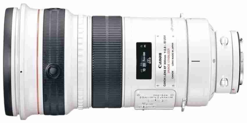 300mm canon lens 2.8