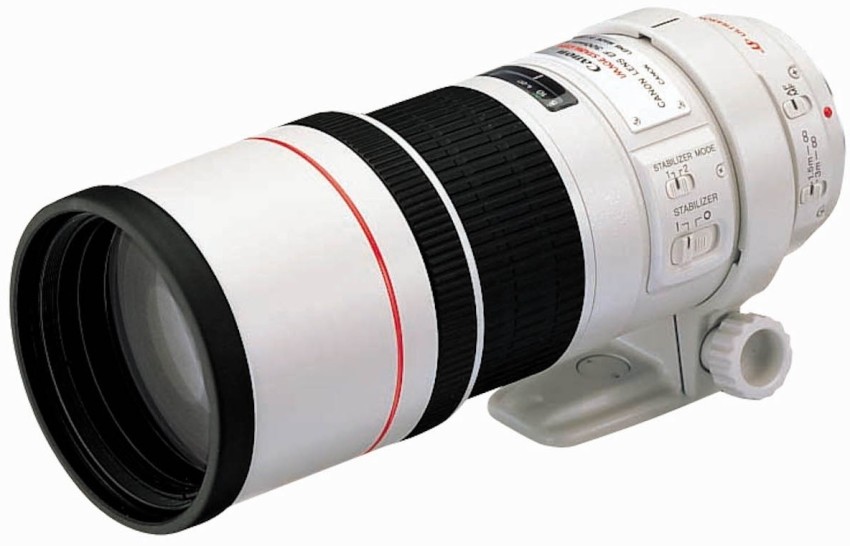 Canon EF 300 mm f/4L IS USM Telephoto Zoom Lens