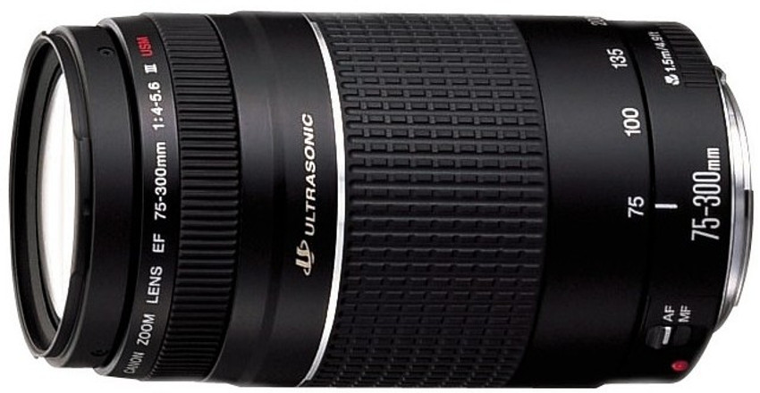 Canon EF 75 - 300 mm f/4-5.6 III USM Telephoto Zoom Lens - Canon :  Flipkart.com