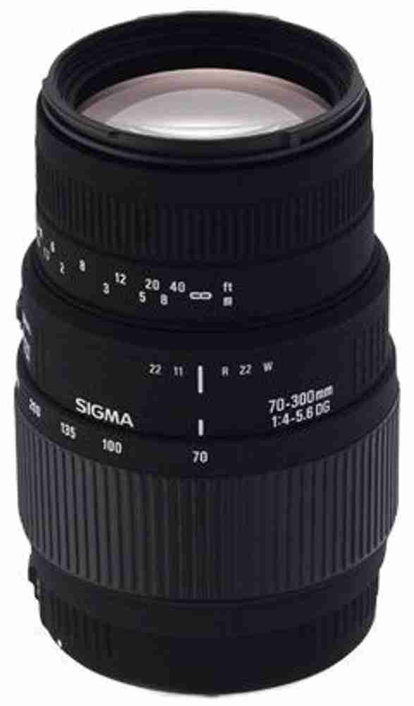 SIGMA APO 70-300mm F4-5.6 DG MACRO