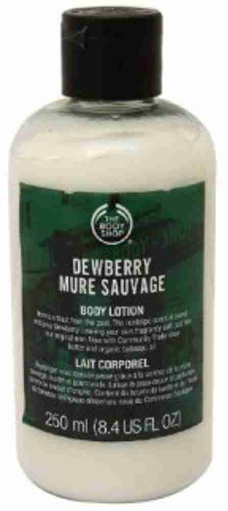 Dewberry 2025 body shop
