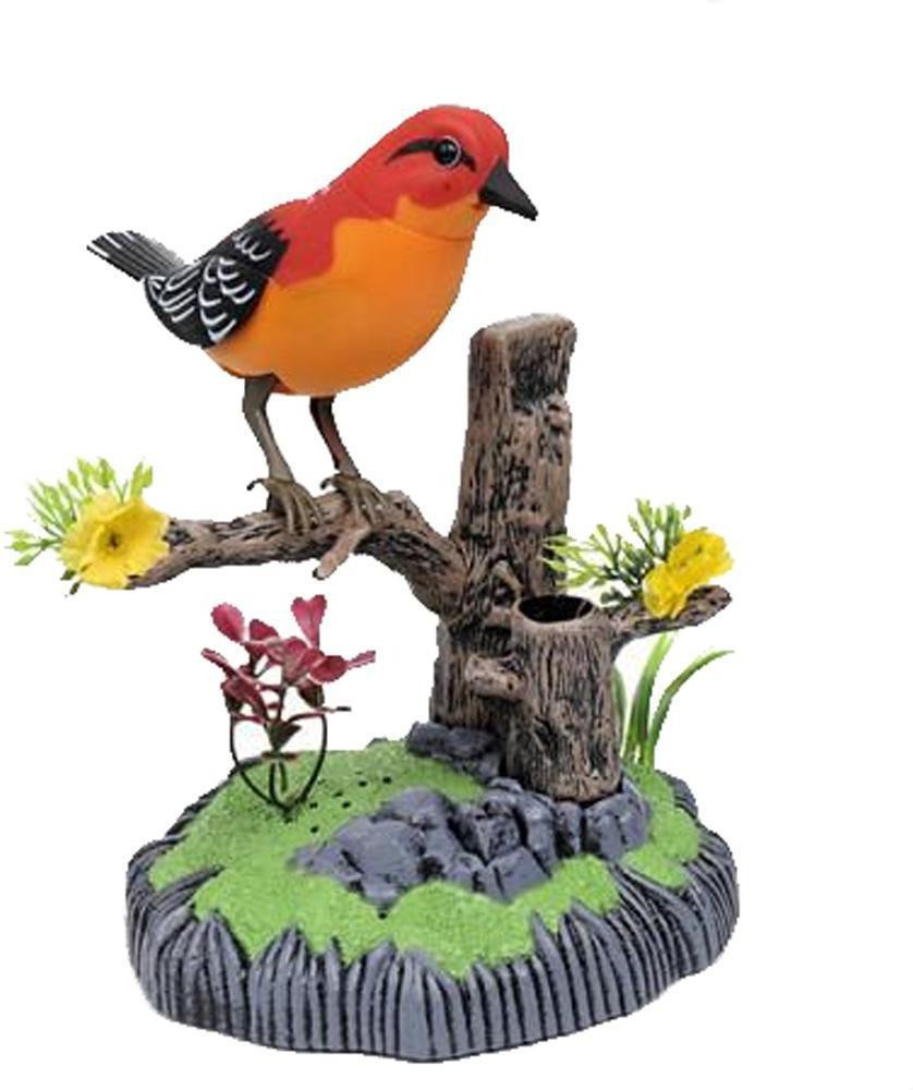 Musical shop bird toys