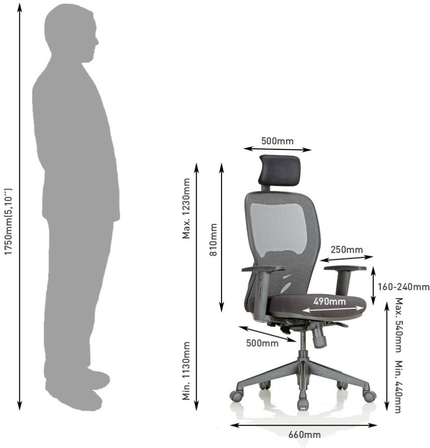 Featherlite anatom best sale chair price