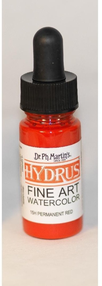 How to paint with Dr. Ph. Martin's Hydrus Fine Art Liquid Watercolor 