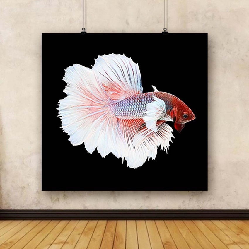 Pitaara Box Betta Fish Unframed Wall Art Painting Print Canvas 20 inch x 21  inch Painting Price in India - Buy Pitaara Box Betta Fish Unframed Wall Art  Painting Print Canvas 20