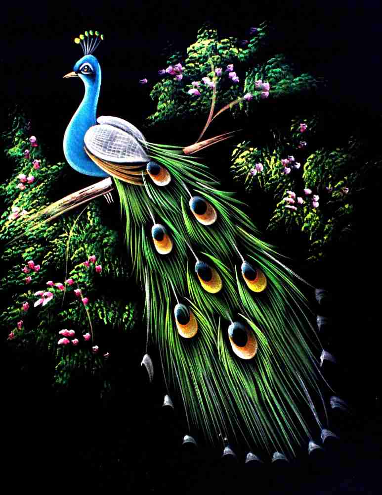 peacock acrylic paintings