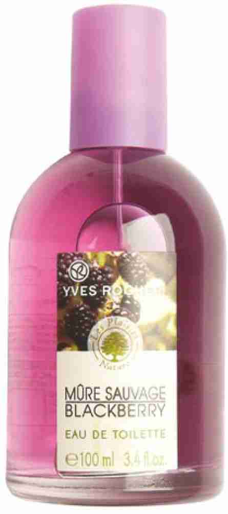 Yves rocher 2025 mure sauvage blackberry