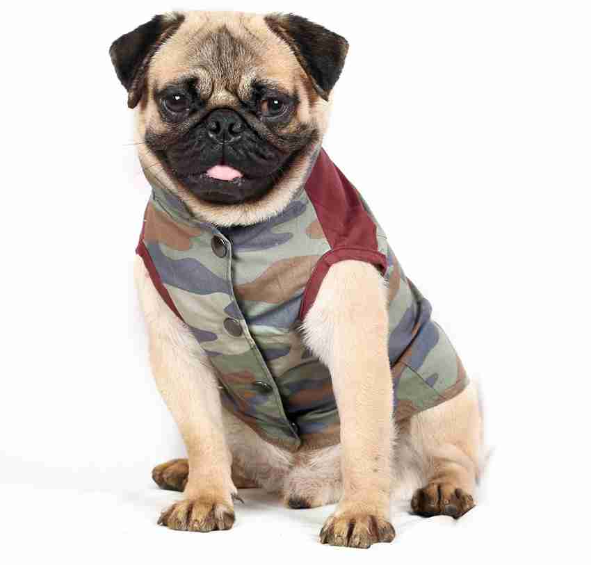 Pug dress best sale online