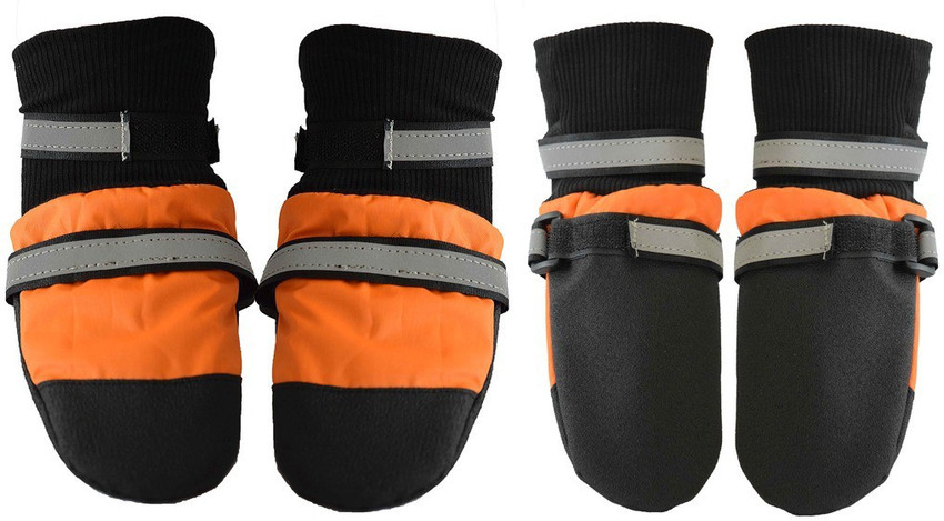 Dog shoes flipkart hot sale
