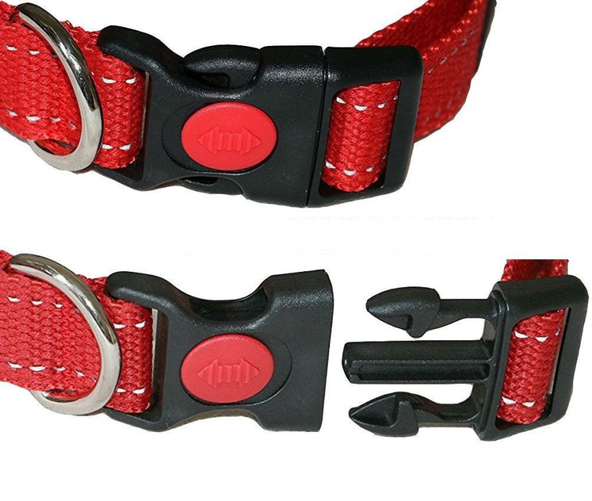 Dog collar with hot sale lock and key