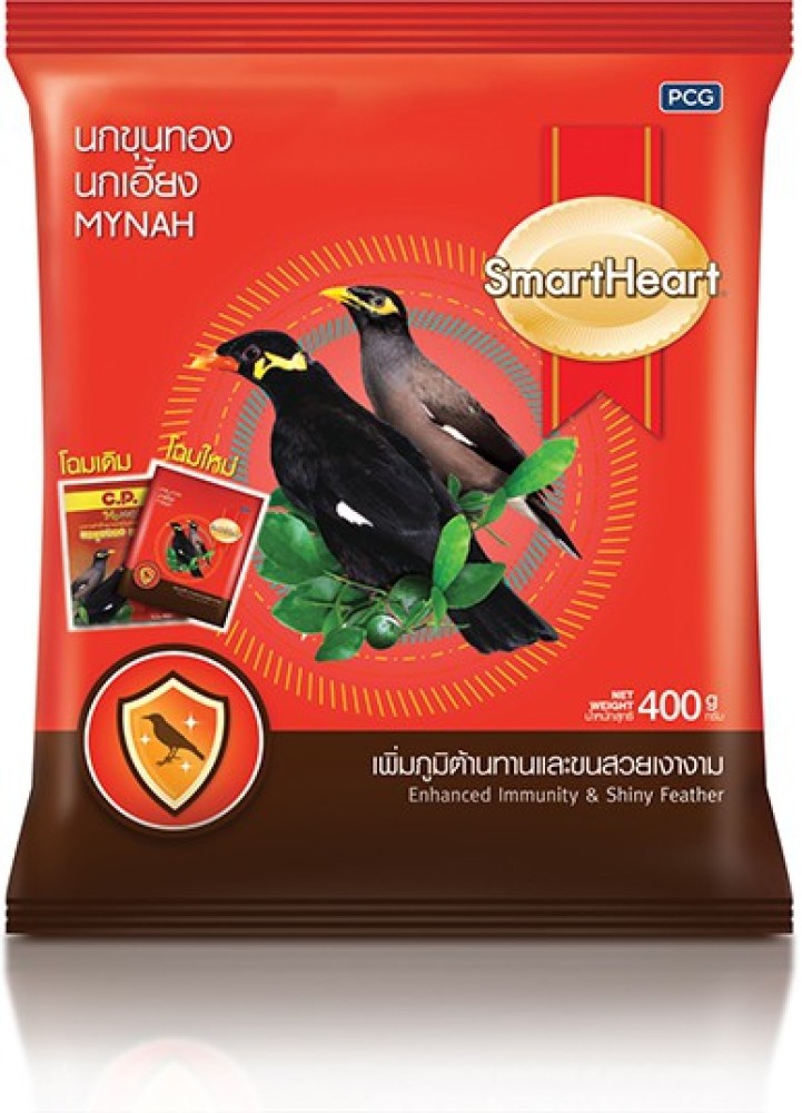 Mynah bird food supplies best sale