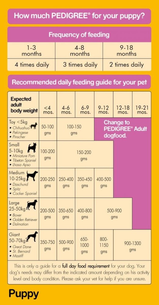 Pedigree puppy 2025 food 6kg