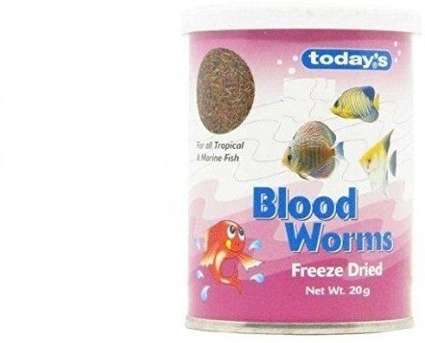 Today s Blood Worm 20g Fish 0.02 kg Dry Young Fish Food Price in