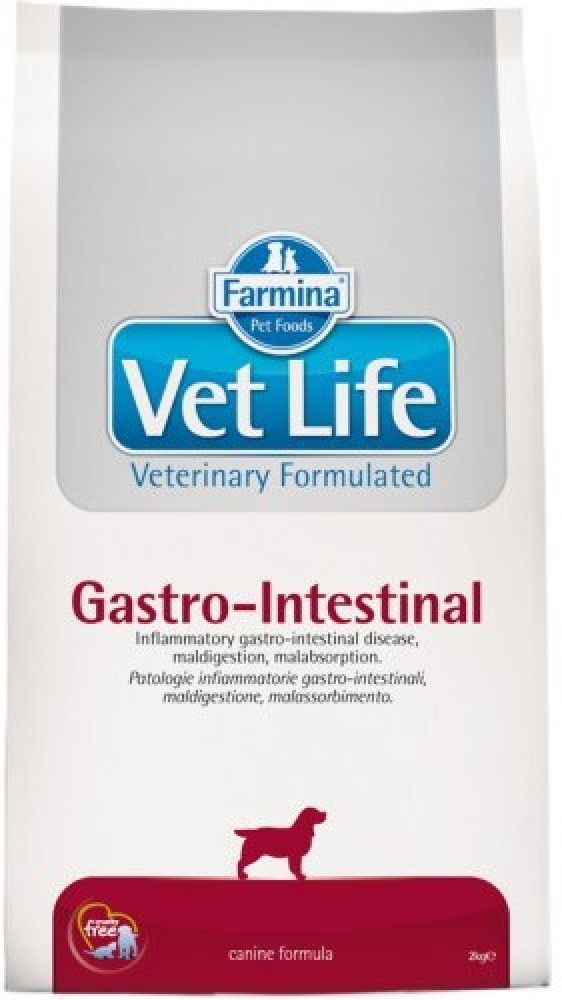 Intestinal hotsell cat food