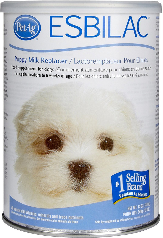 PetAg Esbilac Powder PG 310 Pet Health Supplements Price in India Buy PetAg Esbilac Powder PG 310 Pet Health Supplements online at Flipkart